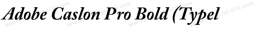 Adobe Caslon Pro Bold 租体(Typel)西方字体转换